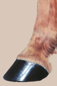 hoof sealant